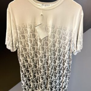 Camiseta Dior Masculina Oblique Degradê – Branca e Cinza