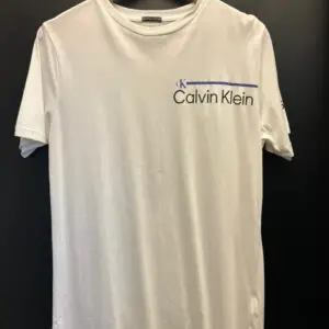 Camiseta Masculina Calvin Klein Minimalist Stripe Logo
